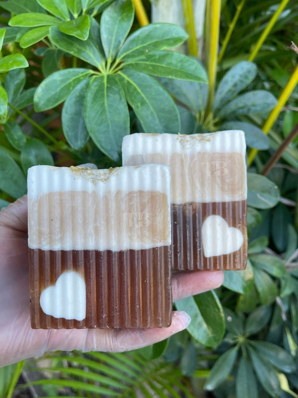 Oh honey bar  🍯 ✨